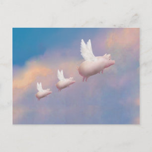 Carte Postale famille de porcs volants