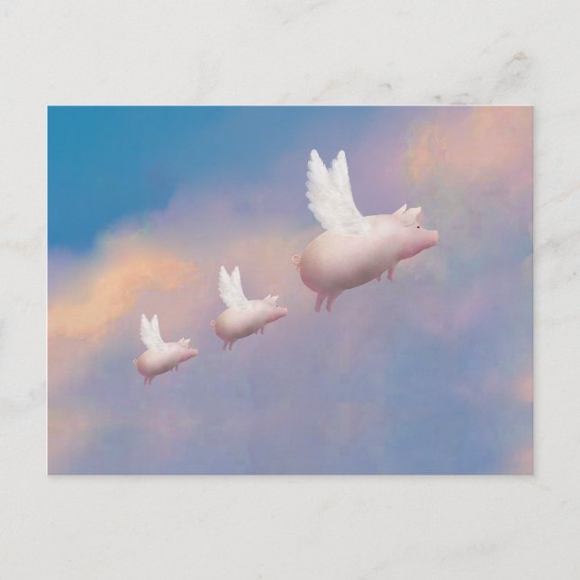 Carte Postale famille de porcs volants (Devant)