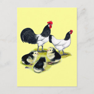 Carte Postale Famille de poulet Lakenvelder