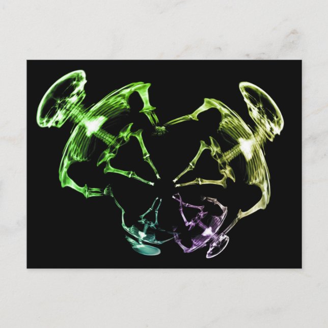 Carte Postale Famille de squelettes à rayons X étirés 4 (Devant)