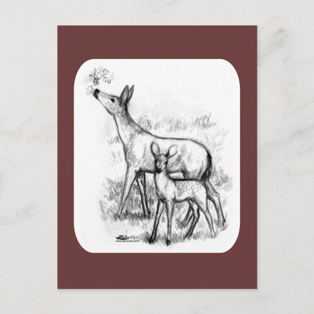 Carte Postale Famille des cerfs (Devant)