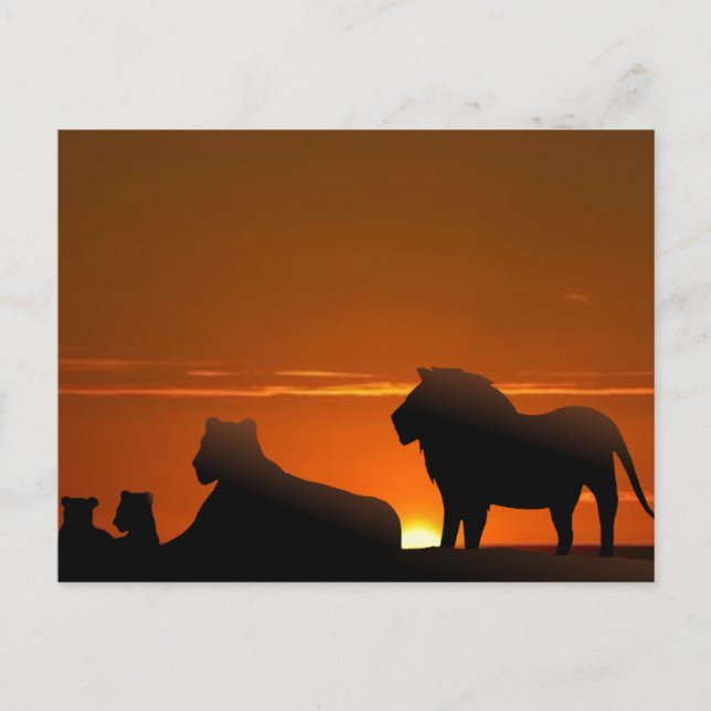 Carte Postale famille des lions (Devant)