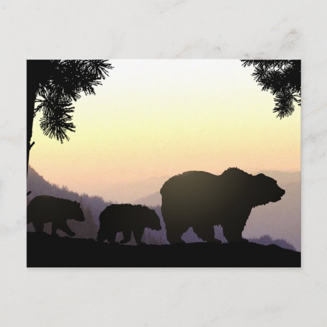 Carte Postale Famille Grizzly Bear (Devant)