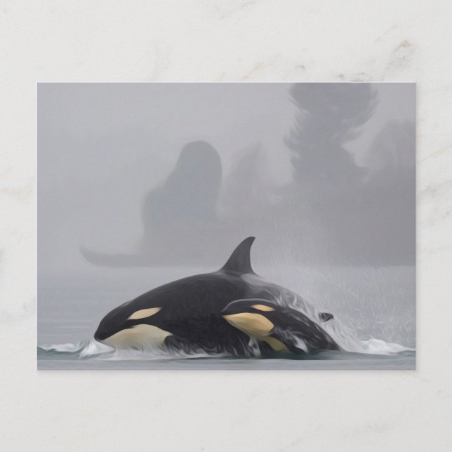Carte Postale Famille Orca (Devant)