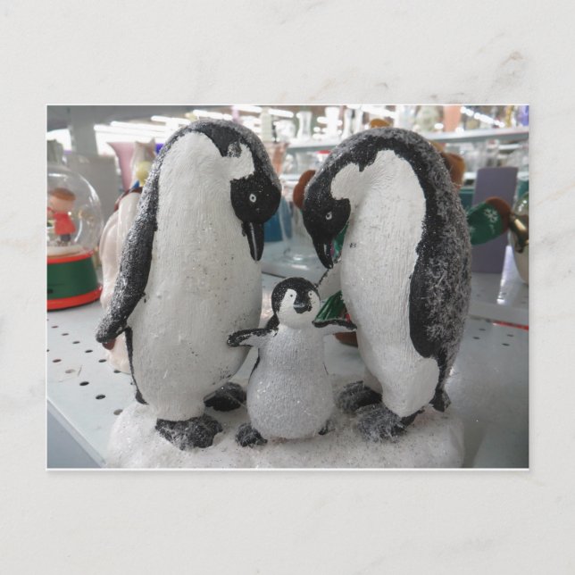 Carte Postale Famille Penguin (Devant)