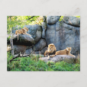 Carte Postale Famille royale