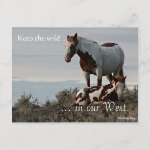 Carte Postale Famille sauvage, Préadressé : Sec de l'intérieur