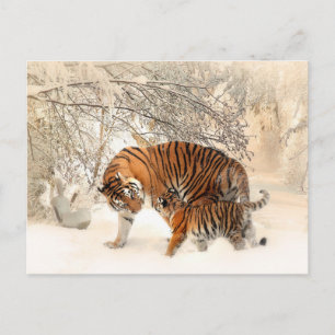 Carte Postale Famille Tiger en hiver