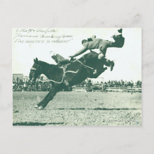 Carte Postale Famous Bucking Bronc Cinq Minutes