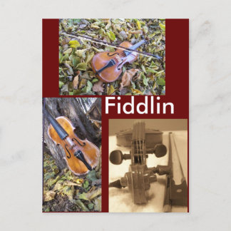 carte postale fanatique fiddlin