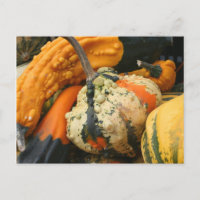 Carte postale Fancy Gourds Nature Photocard
