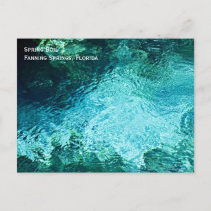 Carte postale Fanning Springs