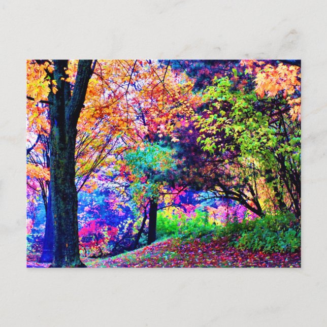 Carte Postale Fantastiques Couleurs Automne Feuilles Arbres Pitt (Devant)