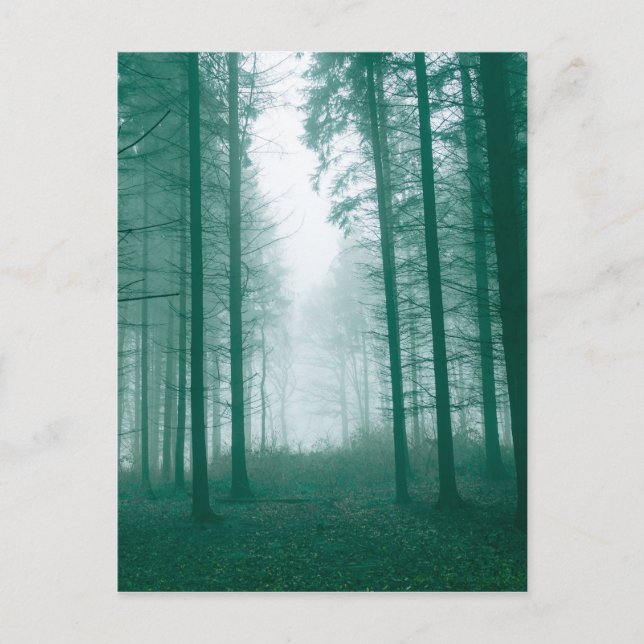 Carte Postale Fantasy forest with fog in Green (Devant)