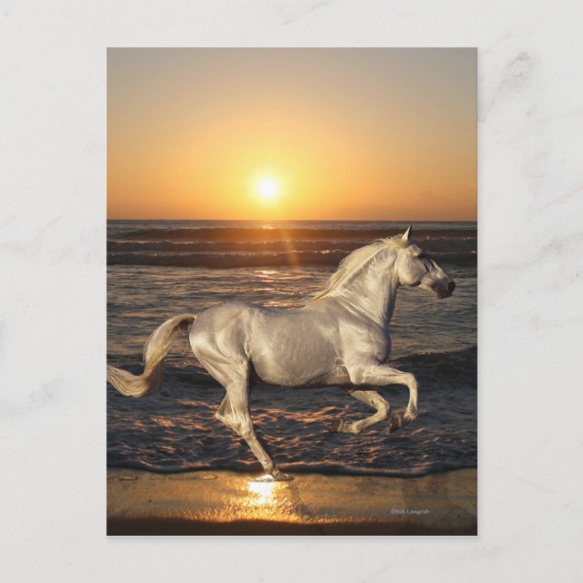 Carte Postale Fantasy Horses: Sunset (Devant)