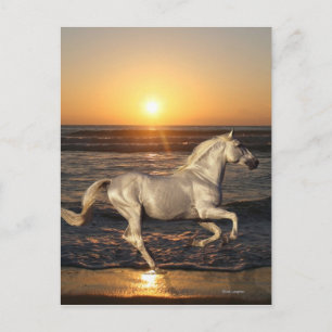 Carte Postale Fantasy Horses: Sunset