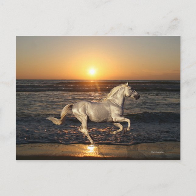 Carte Postale Fantasy Horses: Sunset (Devant)