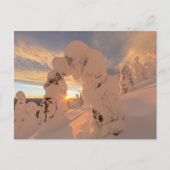 Carte Postale Fantômes de neige dans la chaîne Whitefish (Devant)