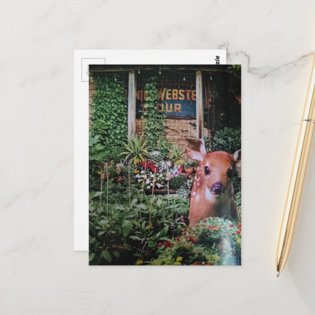 Carte Postale Faon dans le jardin Collage (Devant/Arrière en situation)