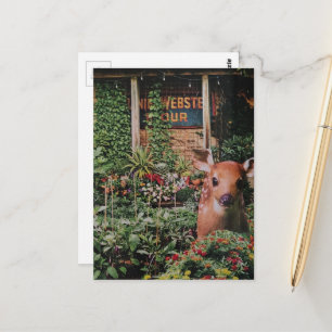 Carte Postale Faon mignon dans le jardin en collage