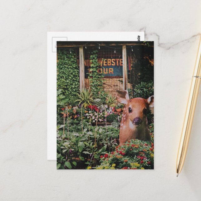 Carte Postale Faon mignon dans le jardin en collage (Devant/Arrière en situation)