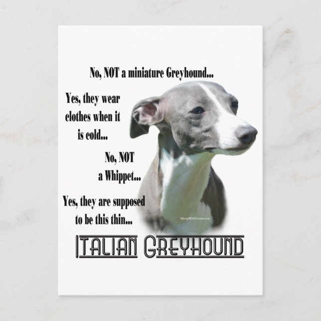 Carte Postale FAQ italienne Greyhound (Devant)
