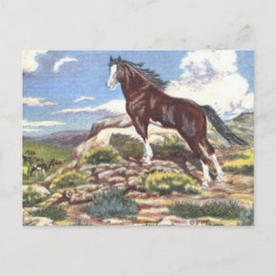 Carte Postale Far West 4