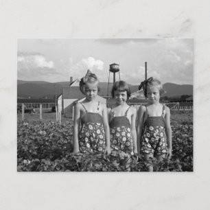 Carte Postale Farmer's Daughters, 1939