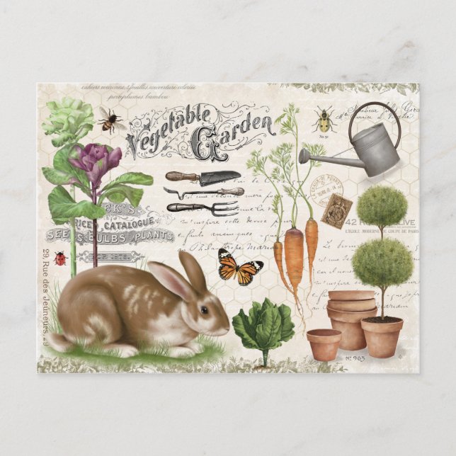 Carte Postale Farmhouse Jardin Vintage moderne Rabbit (Devant)