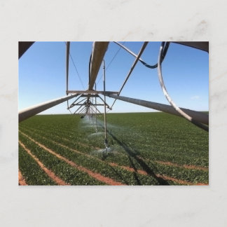 Carte Postale Farmland Postcard