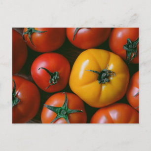 Carte Postale Farms   Shiny Red & Yellow Tomatoes