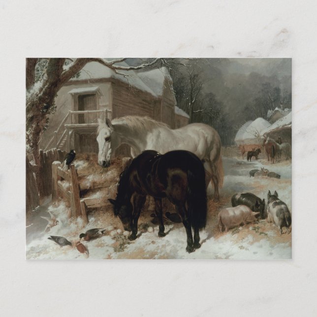 Carte Postale Farmyard (Devant)