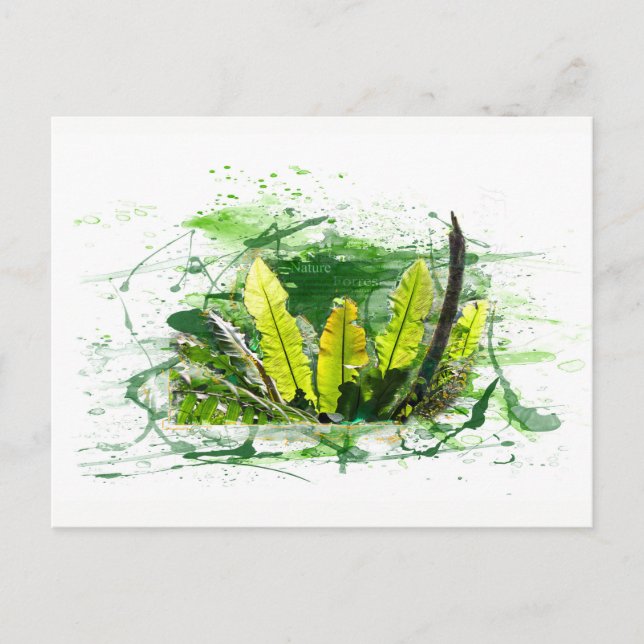 Carte Postale Farn, Blätter, Dschungel, Landschaft, Natur (Devant)