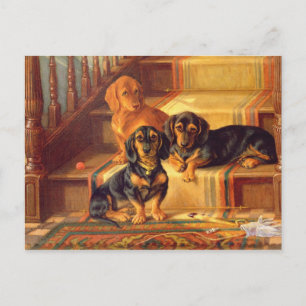 Carte Postale Fashionable Refinities