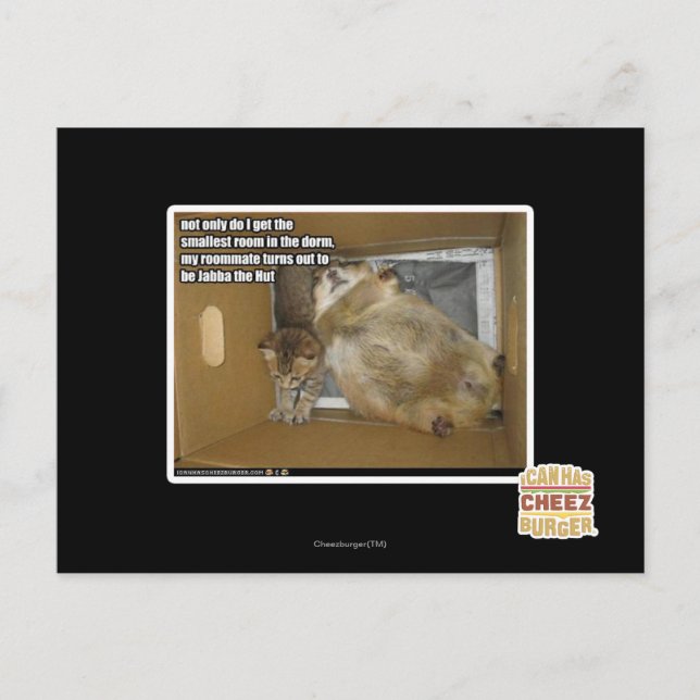 Carte Postale Fat roommate (Devant)