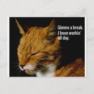 Carte Postale Fatigué Cat Design - "Gimme a break."