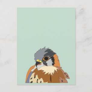 Carte Postale Faucon des oiseaux du faucon