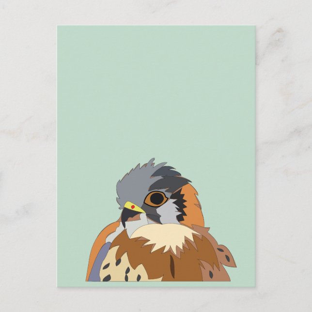 Carte Postale Faucon des oiseaux du faucon (Devant)