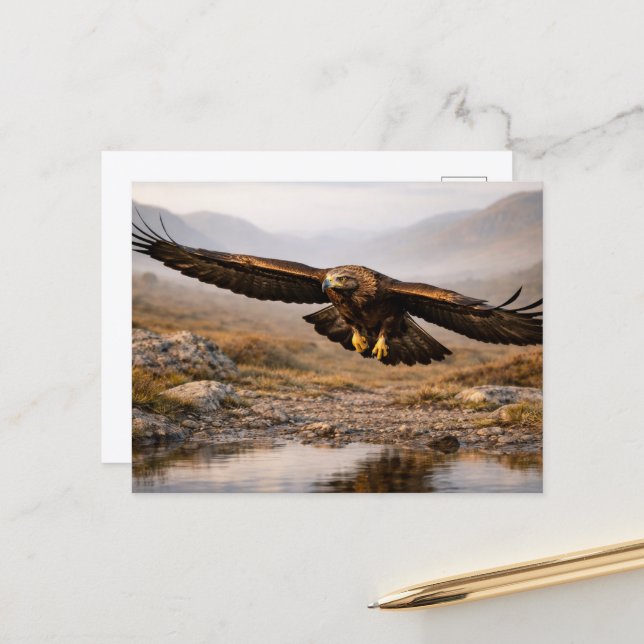 Carte Postale Faune Aigle royal Hautes terres écossaises (Devant/Arrière en situation)
