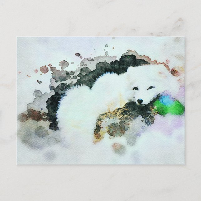 Carte Postale *~* Faune AP18 Neige Blanc Polaire Renard Polaire (Devant)