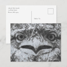 Faune australien, le grincheux de la nature, anima