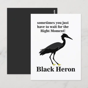Carte Postale Faune d'oiseaux d'aigrettes de Héron noir