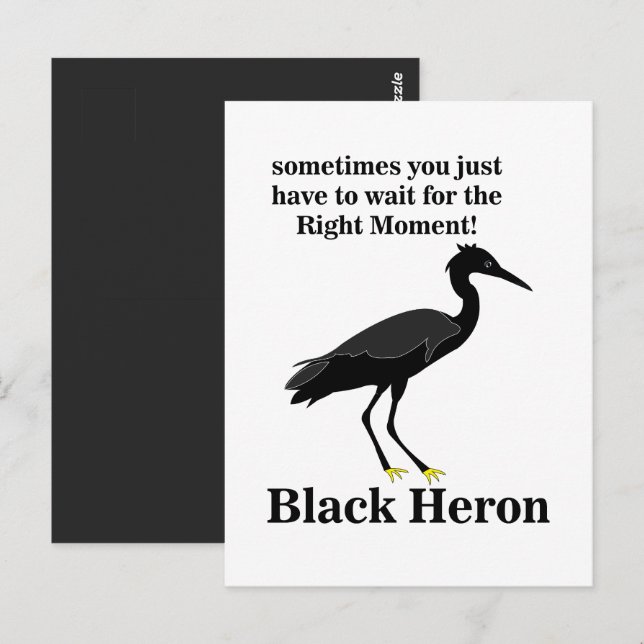 Carte Postale Faune d'oiseaux d'aigrettes de Héron noir (Devant / Derrière)