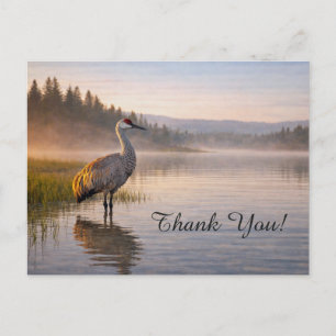 Carte Postale Faune Grue du Canada Lac Calme Merci
