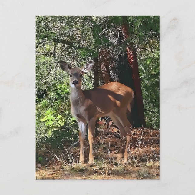 CARTE POSTALE FAWN #2 (Devant)