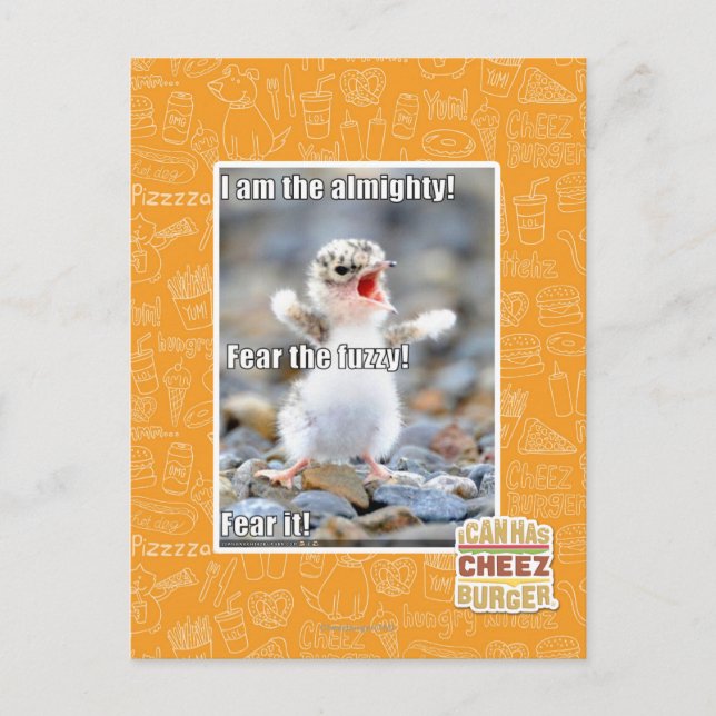 Carte Postale Fear the Fuzzy! (Devant)