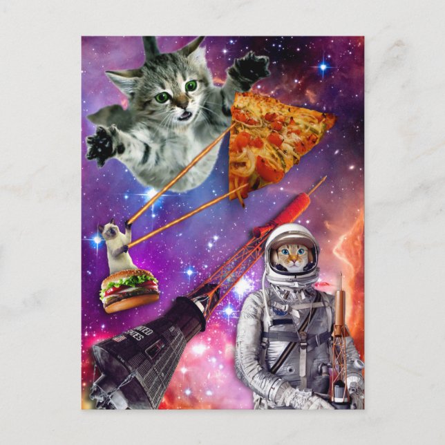 Carte Postale Fédération spatiale Cat (Devant)