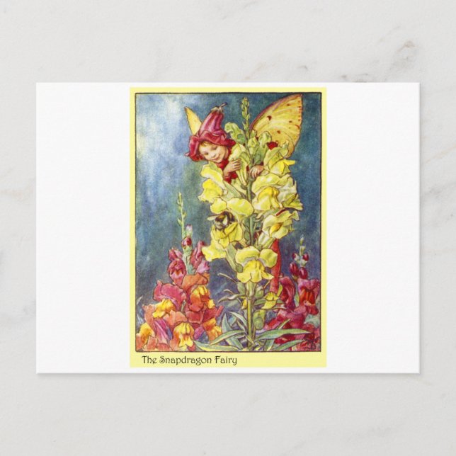 Carte Postale Fée Snapdragon (Devant)