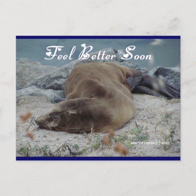 Carte Postale Feel Better Soon (Sea Lion) - Postcard (Devant)