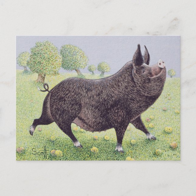 Carte Postale Feeling Great (Devant)